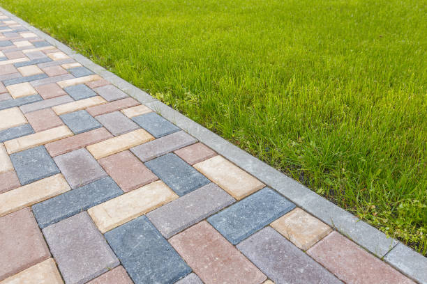 Best Driveway Paving Contractor  in East Freehold, NJ